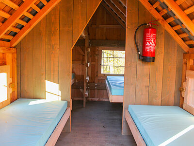 Doos 3 dagen Ardennen in een cabane en in een familiekamer voor 4