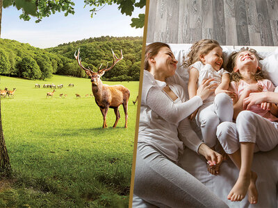 Coffret cadeau 2 jours en famille dans les Ardennes avec sortie aux Grottes de Han