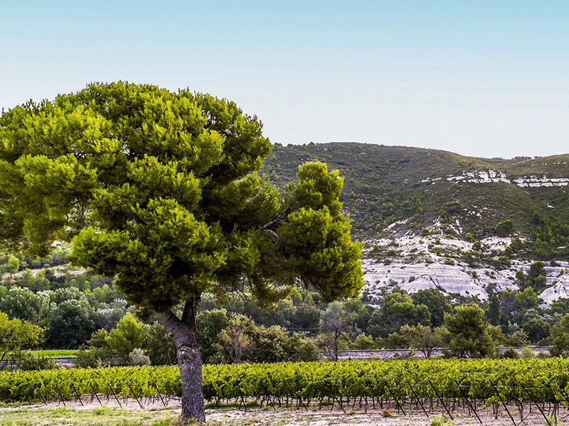 Box œnologie : 6 bouteilles de vin rosé livrées à domicile