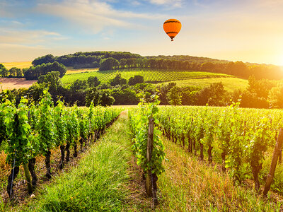 Coffret cadeau Vol en Montgolfière au départ de Beaune en semaine