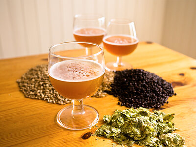 Box Ölprovning för 2