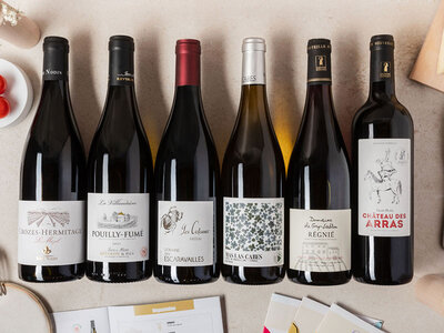 Coffret Pépites de vignerons : 6 vins et livret de dégustation