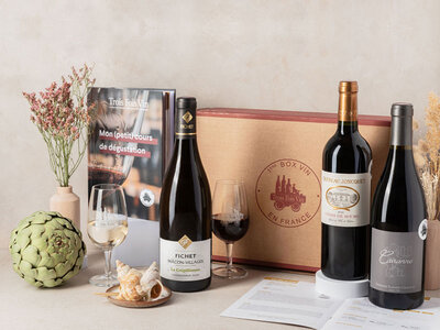 Coffret cadeau Coffret de 3 bouteilles de vin et livre d'œnologie