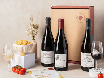 Coffret cadeau Coffret Pépites de vignerons : 3 grands vins et livret de dégustation pour 2
