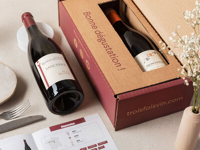 Coffret Coffret Pépites de vignerons : 2 grands vins rouges et livret de dégustation