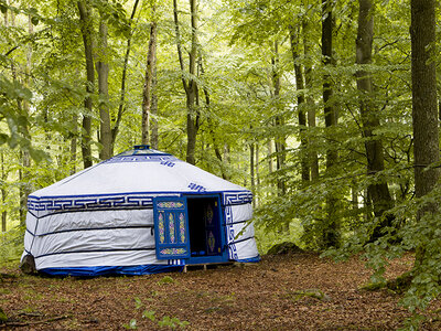 Avkoppling med rituell tvagning i skånsk bokskog