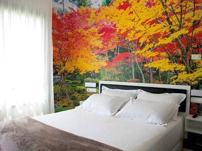 Caja Hotel & Talasoterapia Villa Antilla: acceso a circuito termal de 45 min y menú para 2