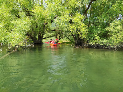 Cofanetto Alla scoperta del fiume Adda: 1 sessione di Kayak per 1 persona