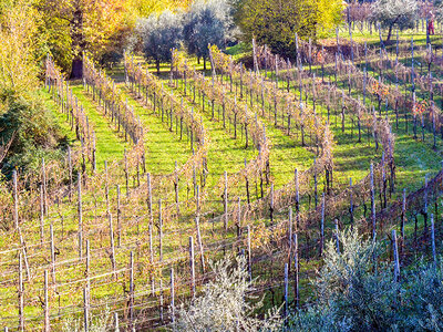 Cofanetto regalo 1 romantica degustazione di vino per 2 in una cantina sul Lago di Garda