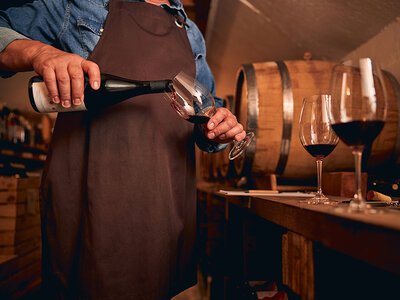 Box Ost- och vinprovning med Sweden Wine Club