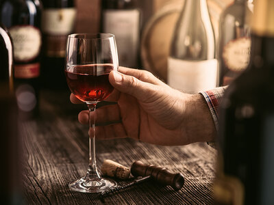 Ost- och vinprovning med Sweden Wine Club