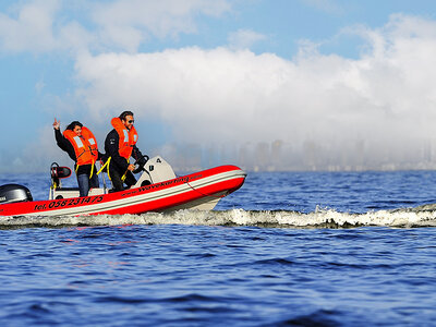 Cadeaubon Wavekarting Xplore-initiatie voor 3 in Zeeland