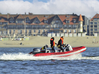 Cadeaubon Zeehonden spotten op de Westerschelde voor 2 personen