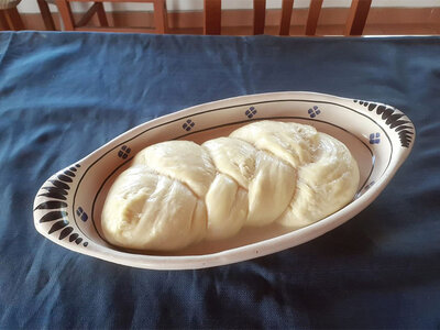 Visita e attività in una fattoria in Puglia per famiglia di 2 adulti e 1 bambino