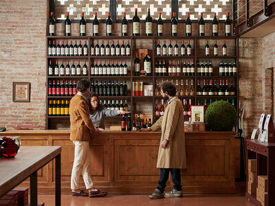 Visita alle cantine e degustazione di vini nel Castello di Roncade in Veneto per 2