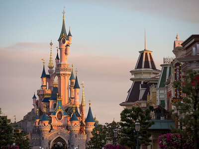 Doos Disneyland® Paris: Eco Summer-tickets voor 2 personen (1 park)