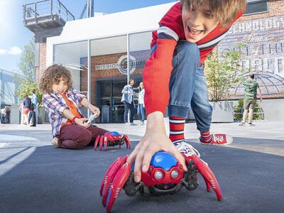 Disneyland® Paris: Eco Summer-tickets voor 2 personen en 2 kinderen (2 parken)