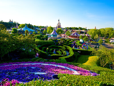 Doos Disneyland® Paris: Medium Winter-tickets voor 2 personen en 2 kinderen (2 parken)