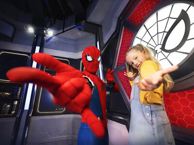 Doos Disneyland® Paris: Medium Plus-tickets voor 2 personen en 2 kinderen (1 park)