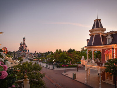 Disneyland® Paris: Medium Plus-tickets voor 2 personen en 2 kinderen (1 park)