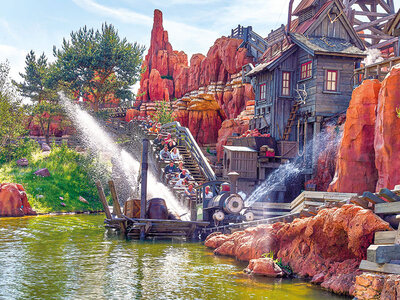 Doos Disneyland® Paris: Eco Summer-ticket voor 1 persoon (1 park)