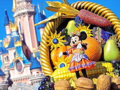 Cadeaubon Disneyland® Paris: Low-ticket voor 1 persoon (1 park)