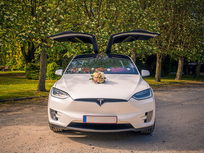 Doos 30 minuten cruisen in een Tesla Model X in Mechelen