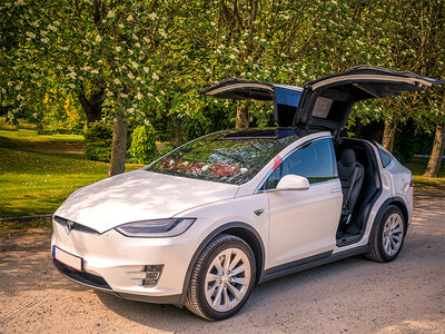 Cadeaubon 30 minuten cruisen in een Tesla Model X in Mechelen