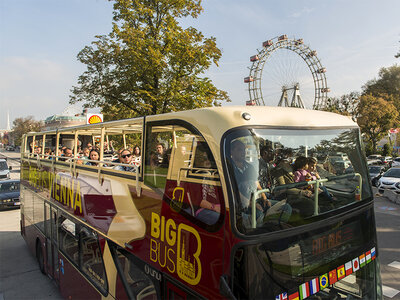 Découverte de Vienne avec un billet Big Bus Hop On Hop Off pour 2 personnes