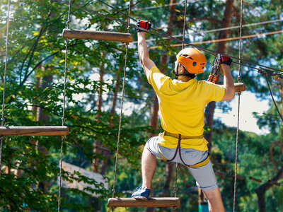 Divertente giornata a Zurigo con ingresso a un parco avventura e merenda per 2 persone