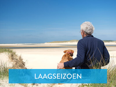 Cadeaubon 2-daagse aan zee bij ibis budget in België met je hond