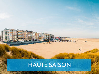 Coffret cadeau 2 jours à la plage avec votre chien dans un hôtel Ibis en Belgique