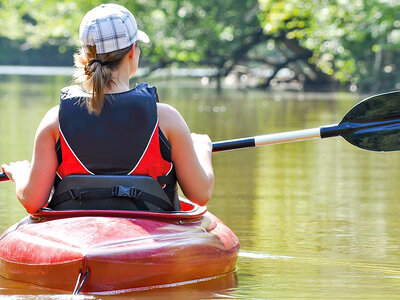 Boks Den store oplevelsesboks