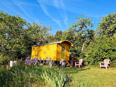 Coffret Séjour insolite en famille : 5 jours en roulotte près de Saint-Etienne