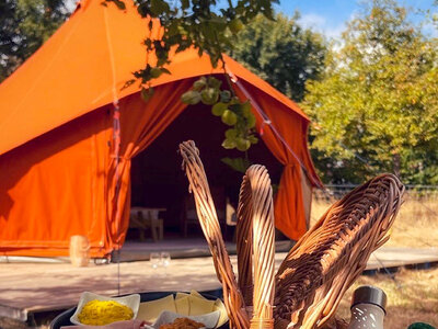 Doos 2 dagen in een luxeuze glampingtent met ontbijtmand nabij Antwerpen