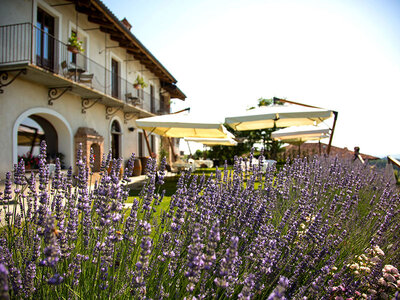 Séjour d'une nuit avec vinothérapie dans les Langhe