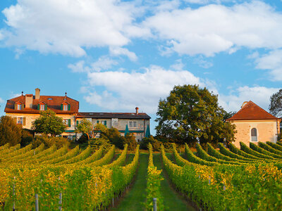 Box Traumhafte Auszeit im Domaine de Châteauvieux im Kanton Genf für 2 Personen