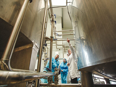 La Antigua de Fuentesaúco: visita guiada de 1h y 30 min, comida y cata de quesos para 2