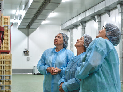 Caja La Antigua de Fuentesaúco: visita guiada de 1h y 30 min, comida y cata de quesos para 2