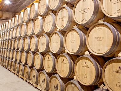 Caja Bodegas y Viñedos Labastida Solagüen a domicilio: 6 botellas de tinto Rioja Solagüen Maceración Carbónica