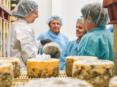 La Antigua de Fuentesaúco: 1 visita guiada y 1 cata de 3 quesos para 2 personas