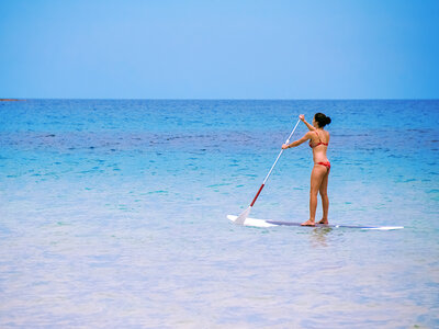 Caja Paddle surf: 1 sesión de 1 hora o más para 1 persona