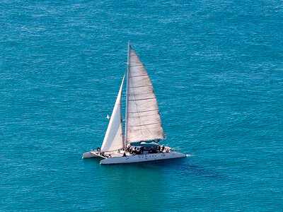 Catamarán: 1 excursión o 1 curso en Andalucía, Valencia o Catalunya