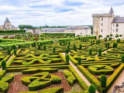 Coffret cadeau Séjour de 2 jours à vélo avec dégustation de vins à travers les châteaux de la Loire