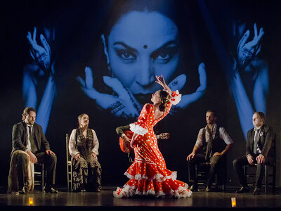 Entradas de flamenco en Madrid para 2 personas