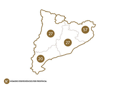 Mil i una nits a Catalunya