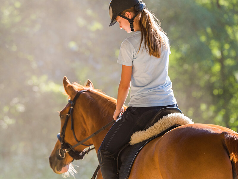 Passeggiata a cavallo di 4h alle pendici dell’Etna per 1 persona