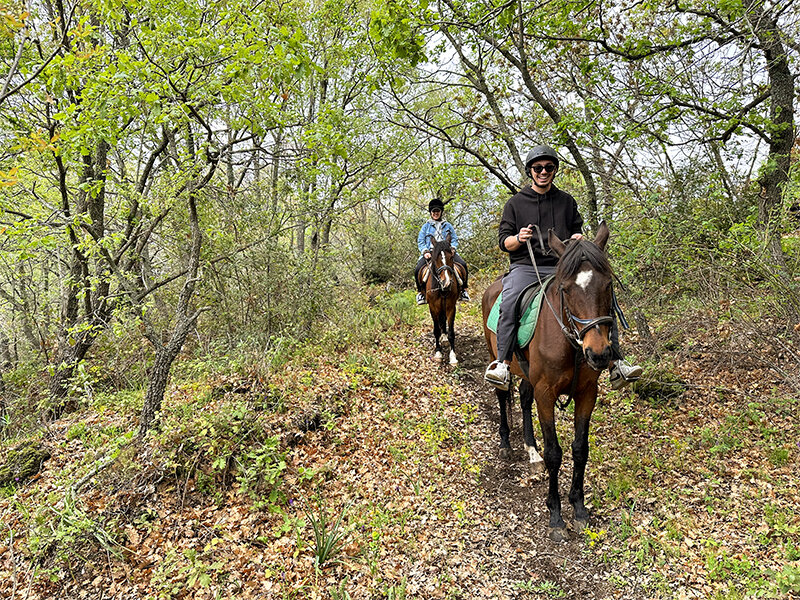 Passeggiata a cavallo di 4h alle pendici dell’Etna per 2 persone