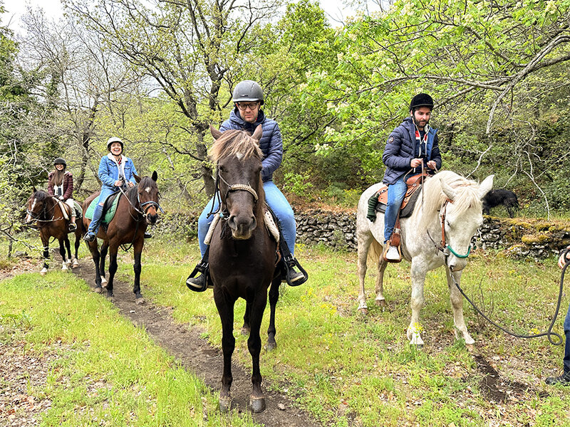 Passeggiata a cavallo di 2h alle pendici dell’Etna per 4 persone