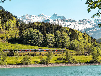 Coffret cadeau L'Europe en train : pass Interrail de 22 jours